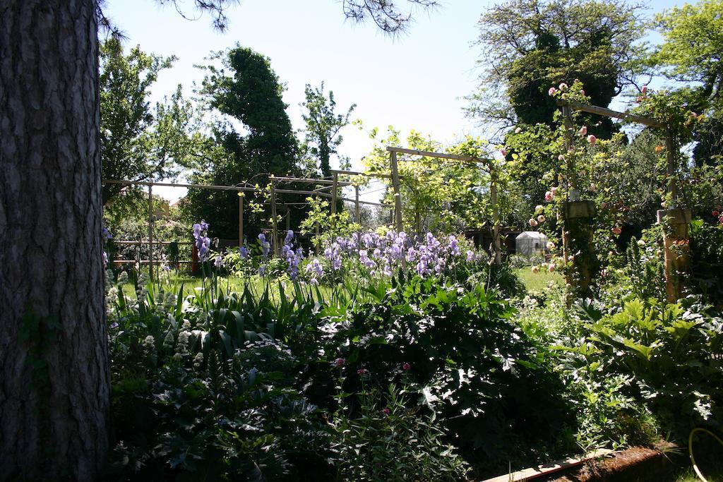 Les Routes Du Monde Bed and Breakfast Saint-Geniès-de-Comolas Zewnętrze zdjęcie